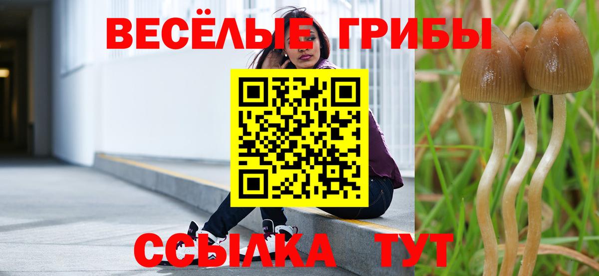 Галлюциногенные грибы GOLDEN TEACHER Йошкар-Ола